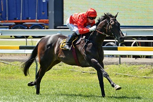 MAGIC DANCER TARANAKI 14-2-2015 RACE IMAGES PN